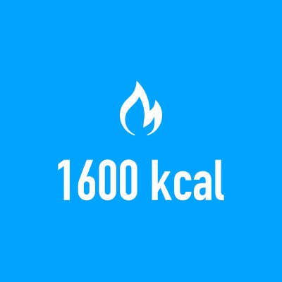 1600 kcal