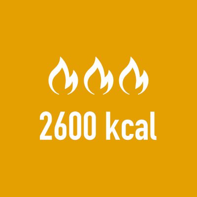 2600 kcal